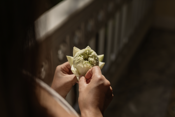 Lotus Folding Workshop
