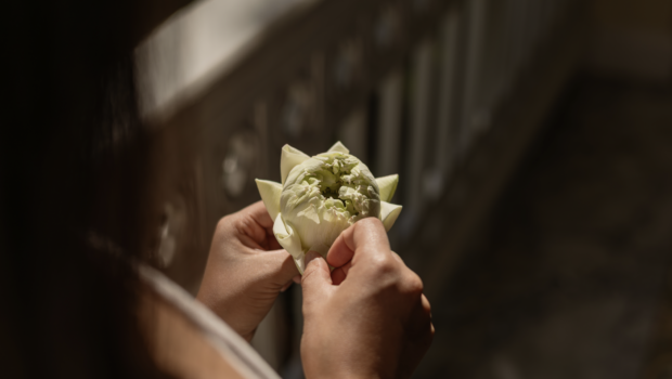 Lotus Folding Workshop